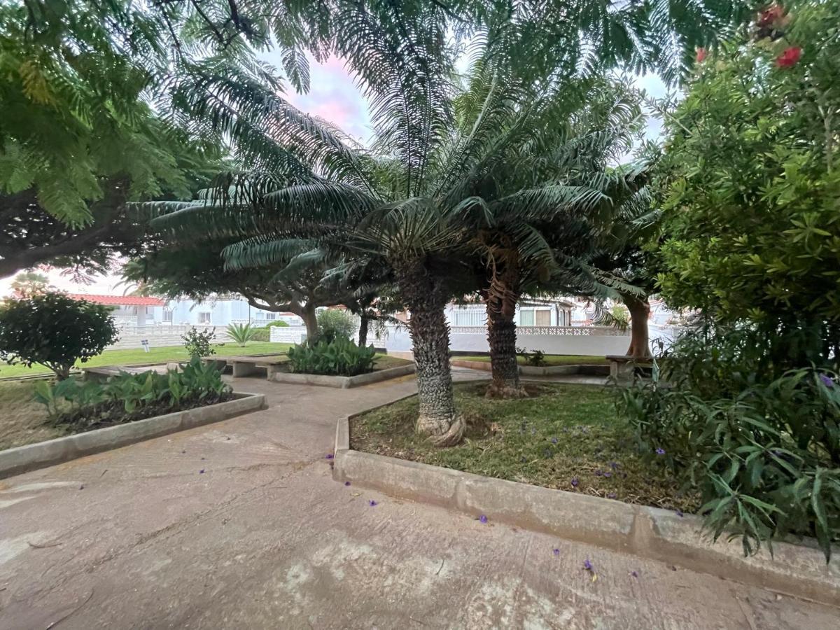 Cozy Bungalow Costa Del Silencio Εξωτερικό φωτογραφία