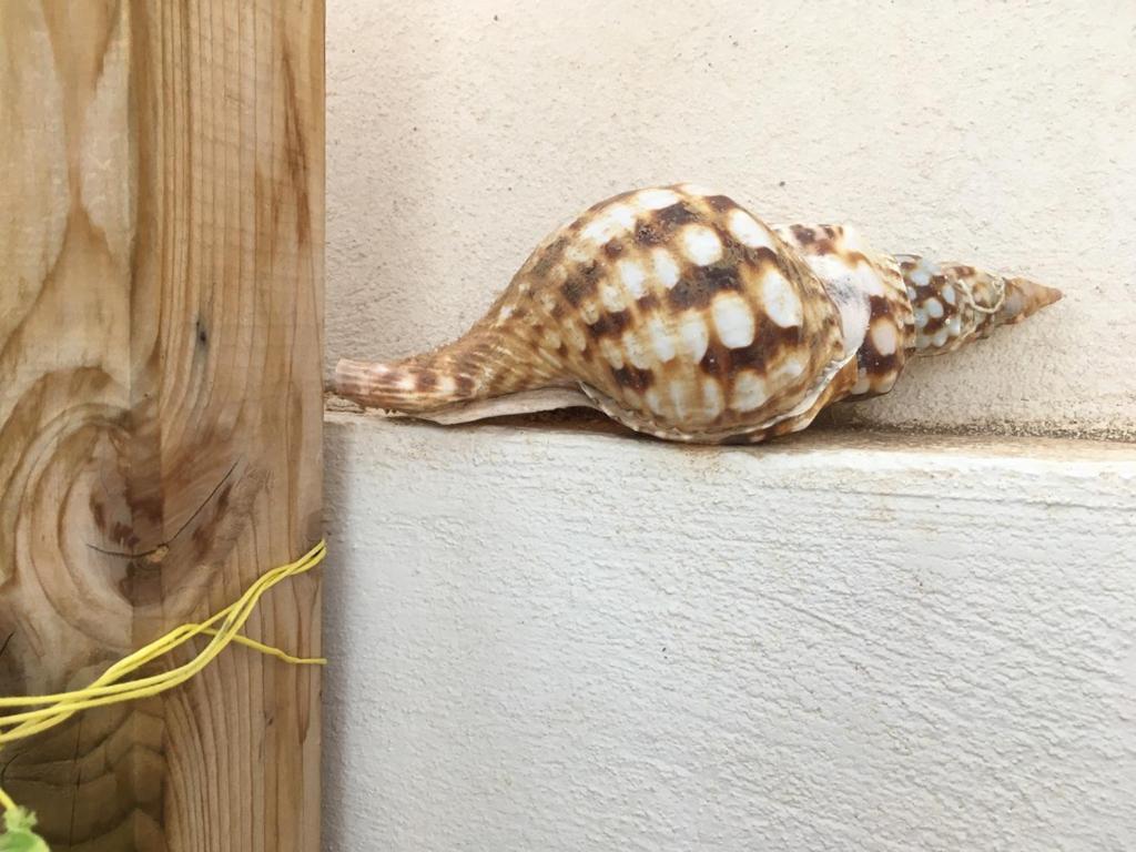 Cozy Bungalow Costa Del Silencio Εξωτερικό φωτογραφία
